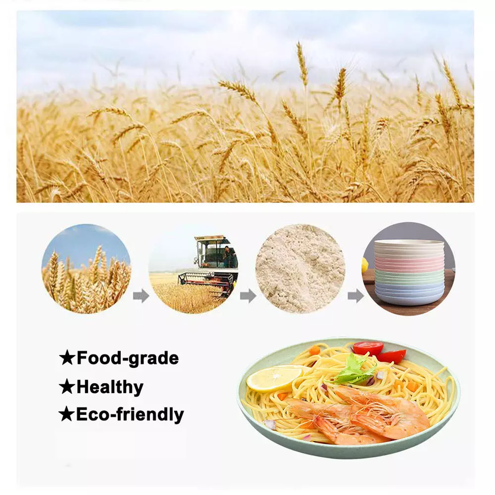 4 Pcs Wheat Straw Dinner Plates, Lightweight Unbreakable Salad Cake Noodle Fruit Dishes for Baby Kids, Toddler, Senior, Dishwasher and Microwave Safe