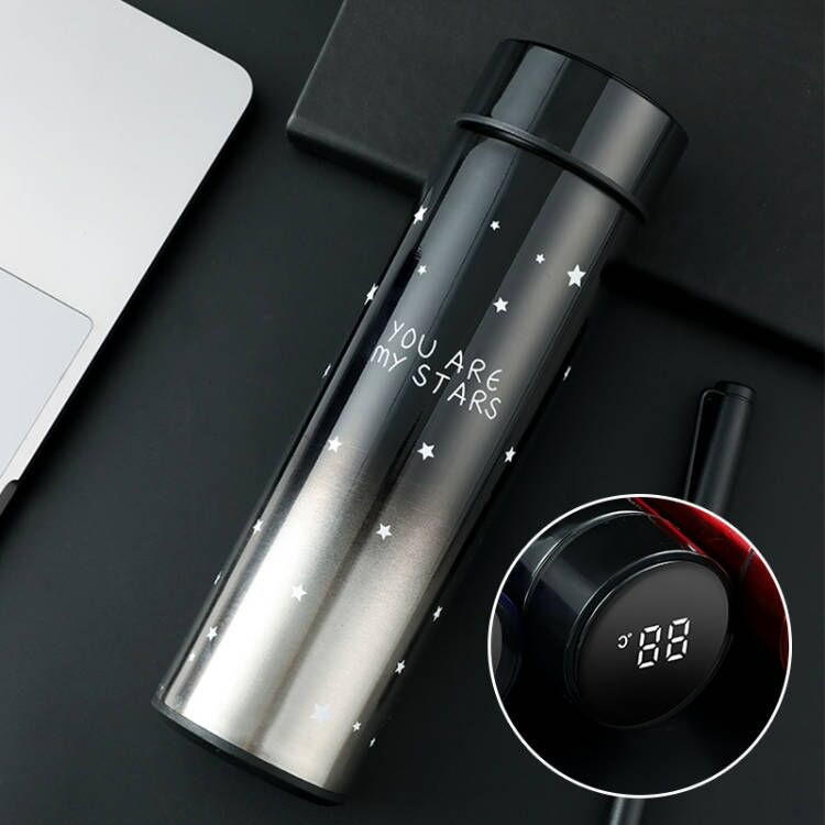 MECOLA Smart Water Bottle with LED Temperature Display,Tea Infuser Bottle,Travel Coffee Mug,17oz/500ml Insulated Water Bottle,Flask for hot and cold drinks