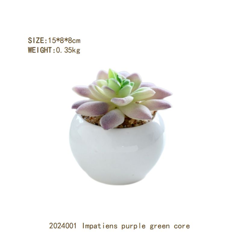 Artificial flowers medium succulent plants potted fashion creative ornaments flowers plastic artificial flowers white small round pots porcelain bonsai home decoration ornaments flowers green plants group 1