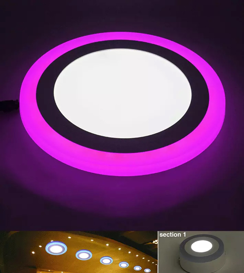 Leopard Cat LED surface mounted round RGB panel light with remote control 18W+6W 12W+4W Recessed LED Ceiling downlight Panel Lamps