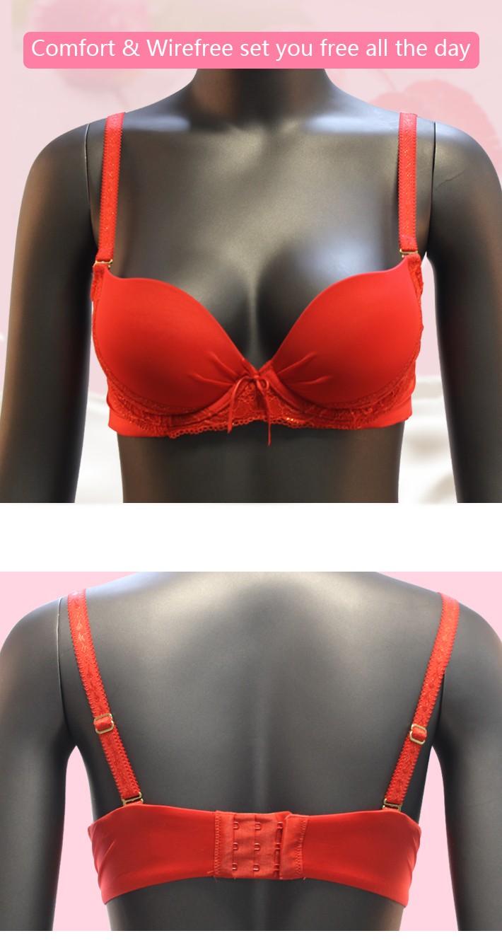 Women's Everyday Bra WD447