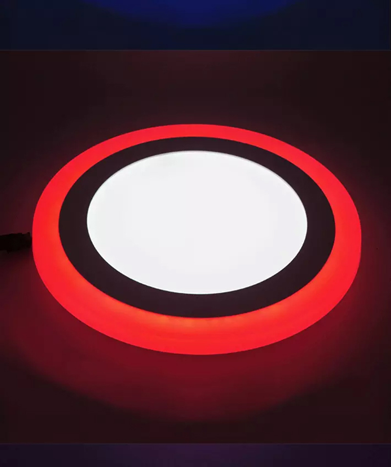 Leopard Cat LED surface mounted round RGB panel light with remote control 18W+6W 12W+4W Recessed LED Ceiling downlight Panel Lamps