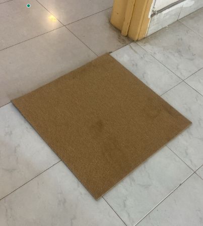 Artificial Natural Fiber Door Mat Dirt Trapping Coir Floor Interior and exterior mat Rugs Area Living Room Thick Rug Carpet