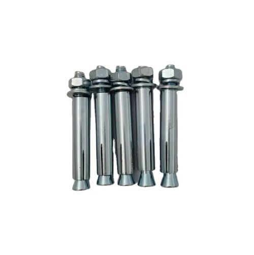10PCS High-quality supplier Expansion Anchor Screw Wedge Anchor Bolt SS Wedges Bolt Wall Anchors

