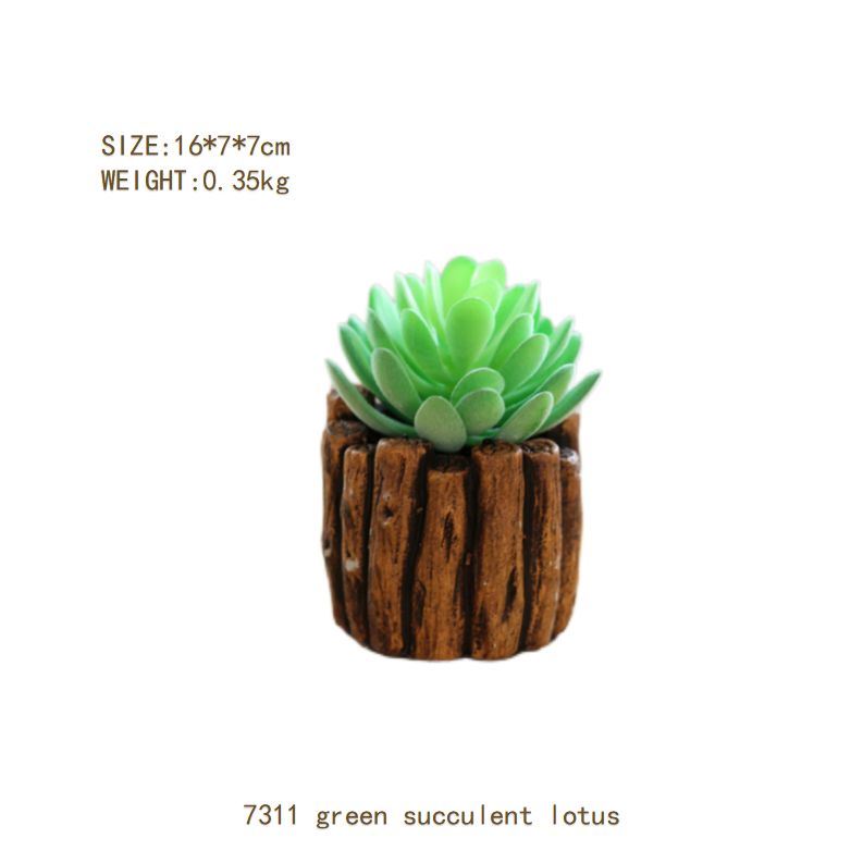 New wooden pile cement basin succulent plants small bonsai potted bonsai home decoration ornaments flowers and green plants