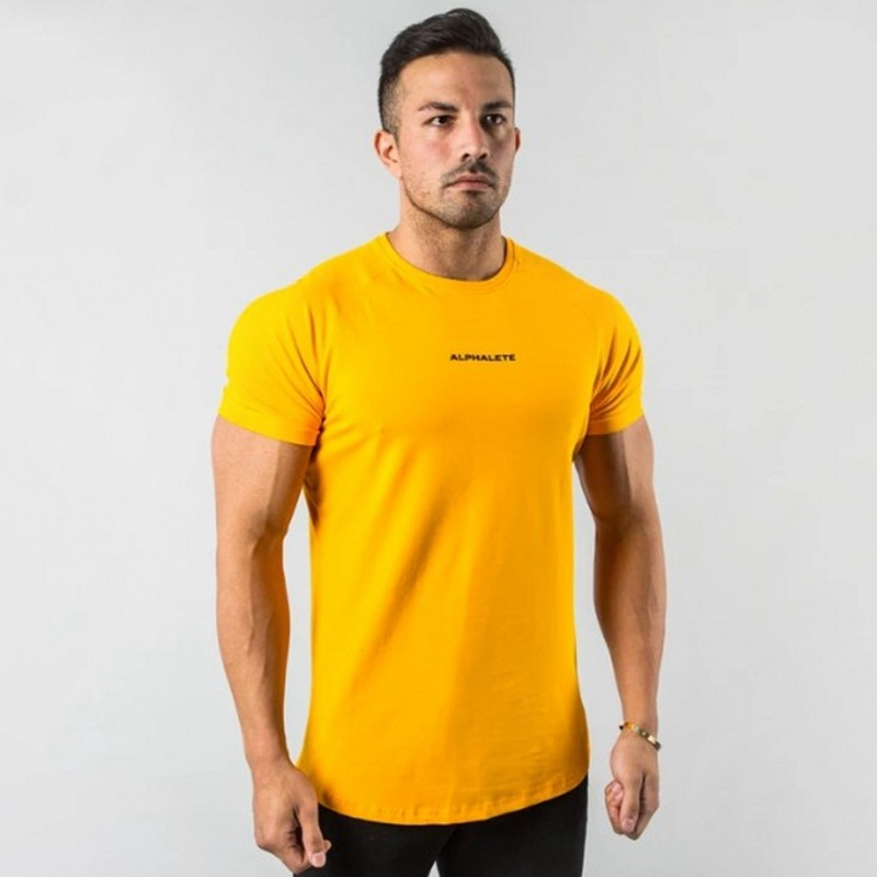 LJL-20-T10 Spandex/Cotton Gym Wear Mens Performance Classic Short Sleeve Top