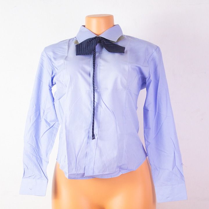 New Style Women's Shirts Blue Long Sleeve Fashion Ladies Blouses For Work Clothes Elegant Female Tops - Blouses & Shirts
