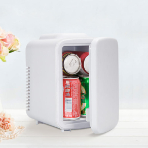 Portable Mini Fridge 