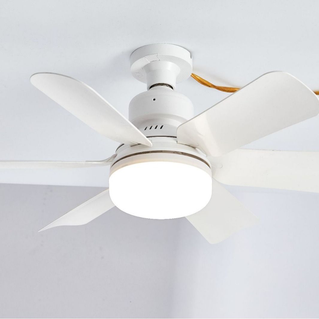 20'' Socket Ceiling Fan Light with Remote, E26/E27 Based Easy Install, Dimmable LED Ceiling Fan with Lights, 3 Colors 3000K-6500K, 1500 Lumens Light Bulb Screw in Ceiling Fan for Bedroom, Kitchen, Living Room, Closet, Wooden Grain1