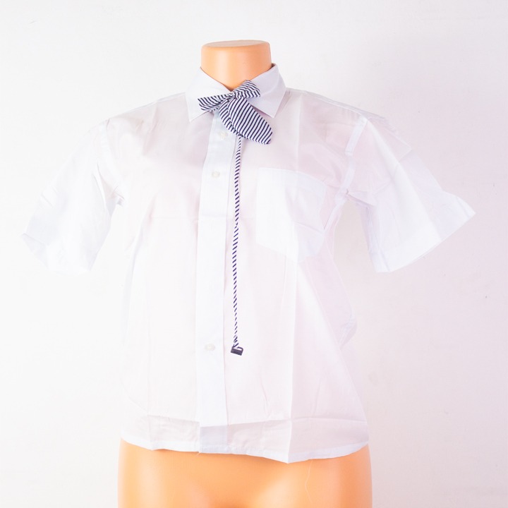 New Style Women's Shirts Blue Long Sleeve Fashion Ladies Blouses For Work Clothes Elegant Female Tops - Blouses & Shirts