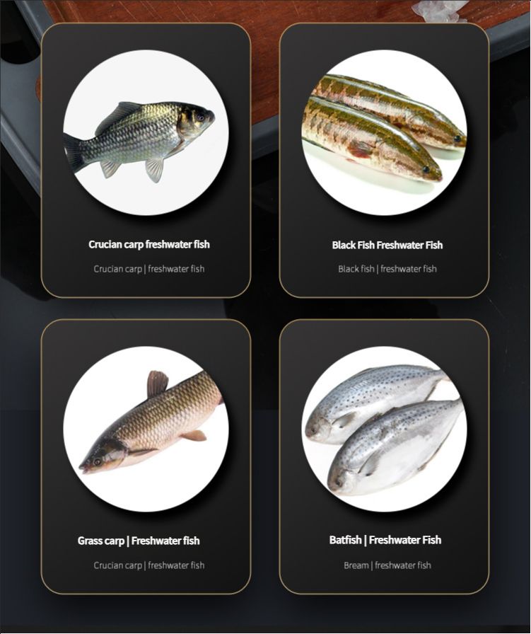 Household electric fish scale scraper handheld rechargeable fish scale scraper commercial fully automatic fish killing and descaling device
