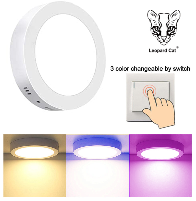 Leopard Cat LED Recessed Mount Panel Ceiling Light Fixtures - 6W 12W 18W 24W Tri-Color Dimming Flat Circular Surface Mount Downlight for Closet/Corridor/Staircase/Kitchen/Basement Lighting