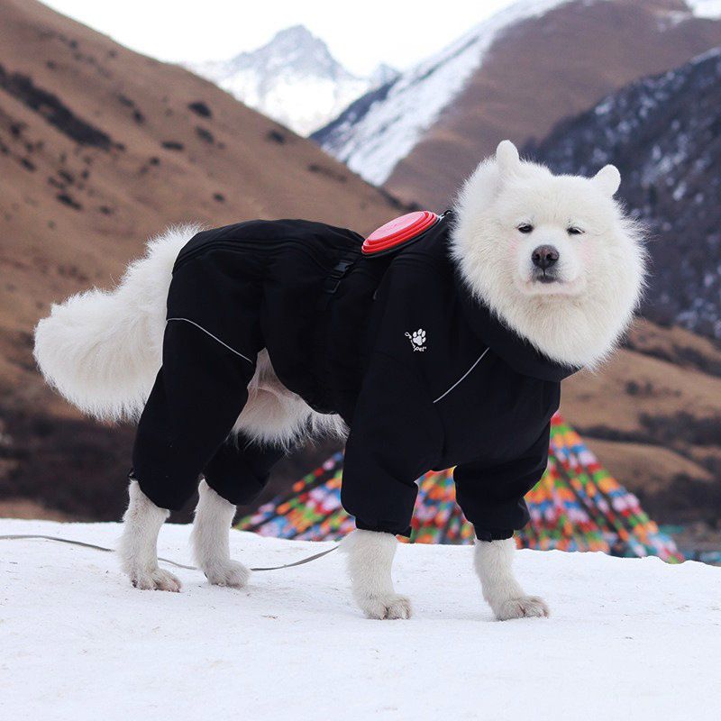 Dog Clothing Universal Outdoor Four Leg Full Pack Windproof and Waterproof Pet Raincoat Stormtrooper Clothing Pet Clothing