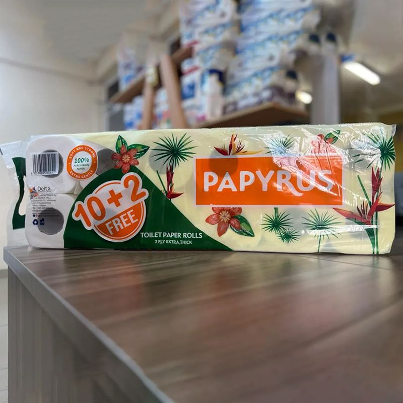 PAPYRUS TOILET PAPER ROLLS-2 PLY EXTRA THICK