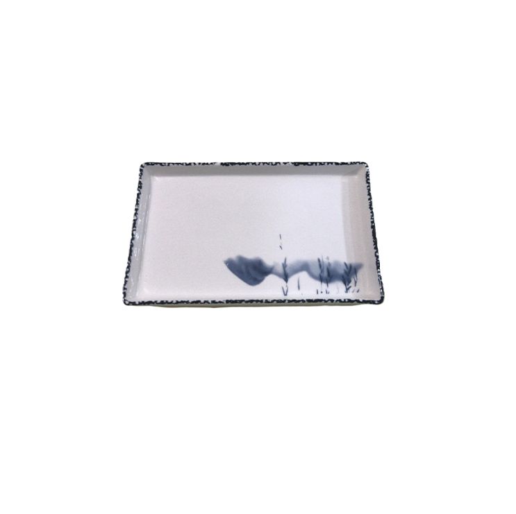 Antique colored rectangle enamel dinner food, fruit, barbecue serving  enamel coated heavy durable ceramic tray plate T-12