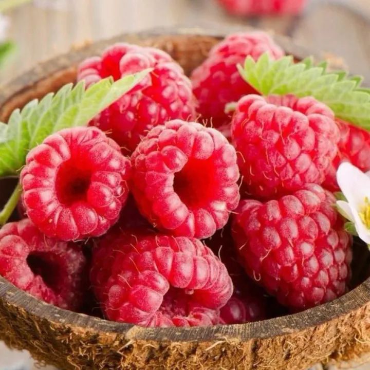 MIX 1000 Seeds Rare Delicious Raspberry Fruit Seeds for Planting Sweet Juicy Raspberries Home Garden Decoration Balcony Bonsai