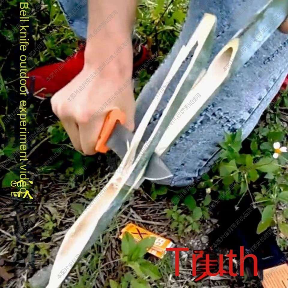 Buck Warrior's Knife Portable Diving Straight Knife Wilderness Survival Small Knife Tactical Swiss Army Knife