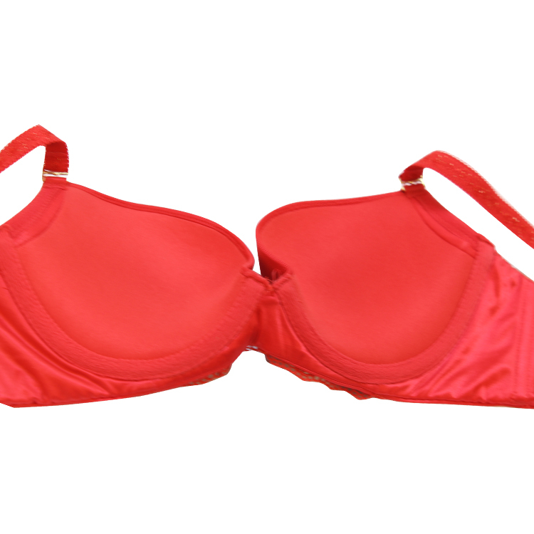 Women's Everyday Bra WD447