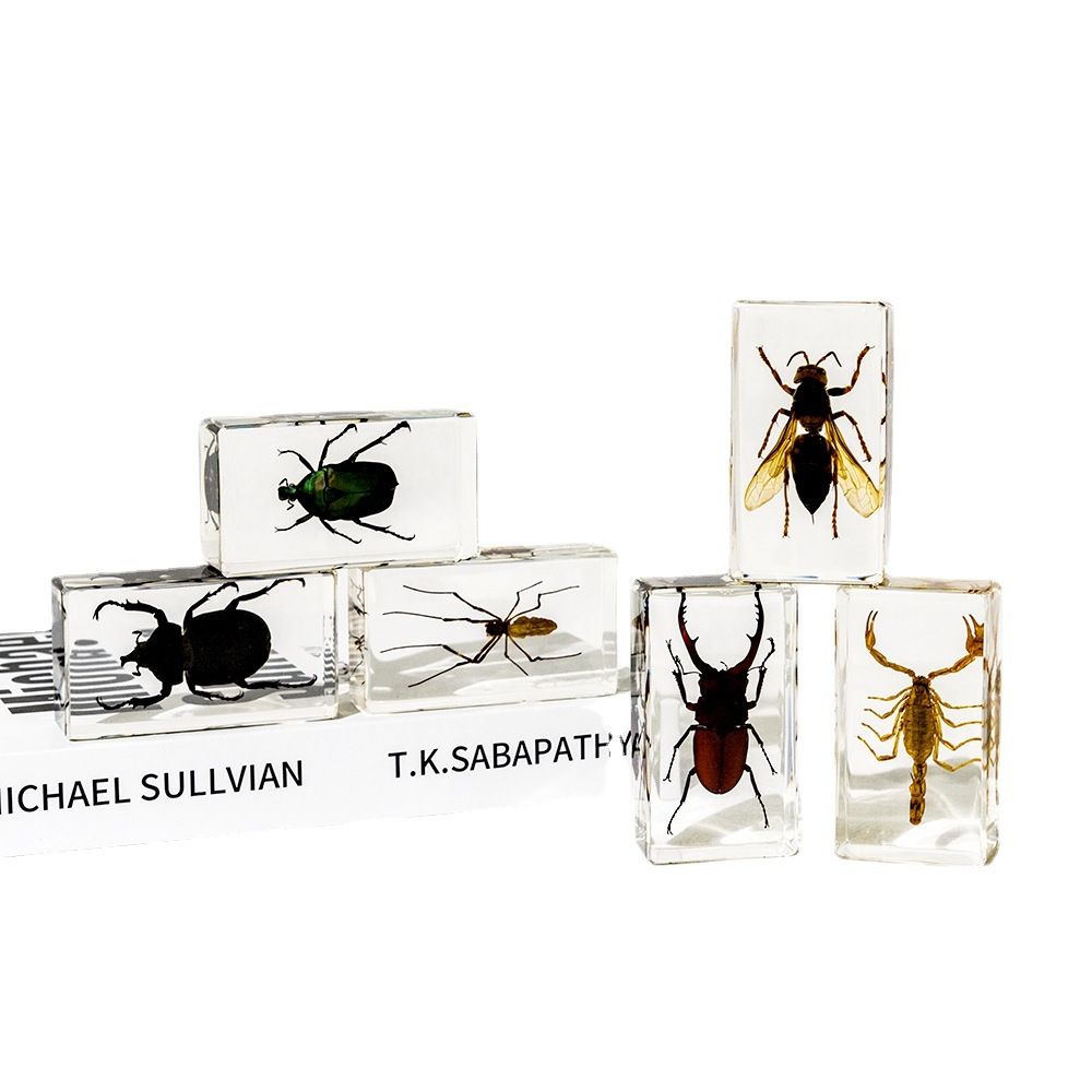 AUNONT Square Resin Insect Bookends Student Teaching Aids Taxidermy Amber Crafts Ornaments Handmade Drip Resin Insect Bookends Clear Amber Insect Taxidermy