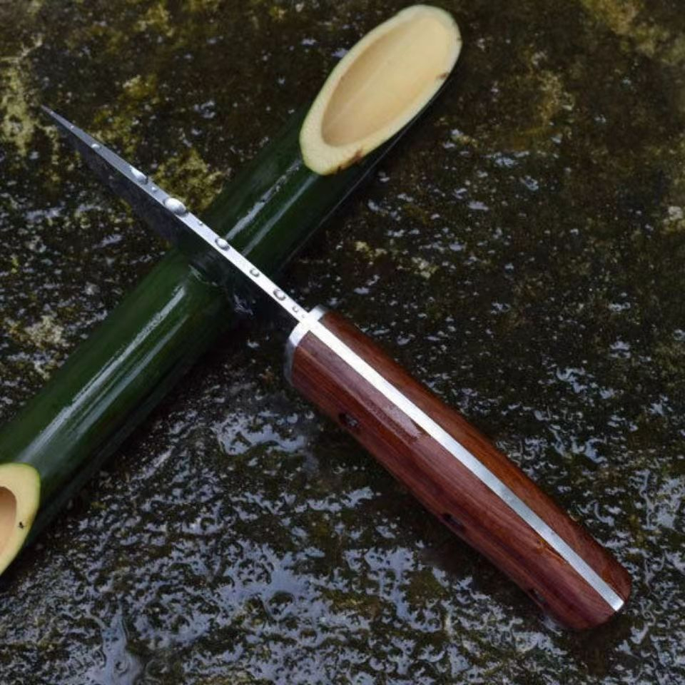 Buck Warrior's Knife Portable Diving Straight Knife Wilderness Survival Small Knife Tactical Swiss Army Knife