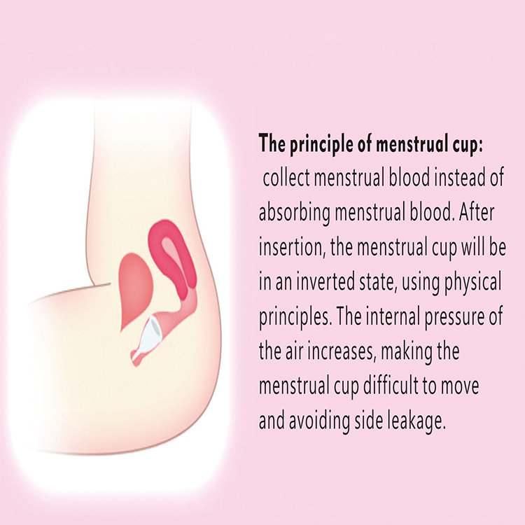 Menstrual Cup Silicone Women's Menstrual Cup Aunt Menstrual Cup Girls' Private Parts Menstrual Period Supplies Sanitary Napkins