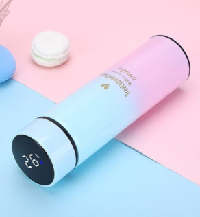 500ml Smart Water Bottle Intelligent Stainless Steel Thermos LED Temperature Display Bottles Vacuum Flasks Thermoses Cup 24hr