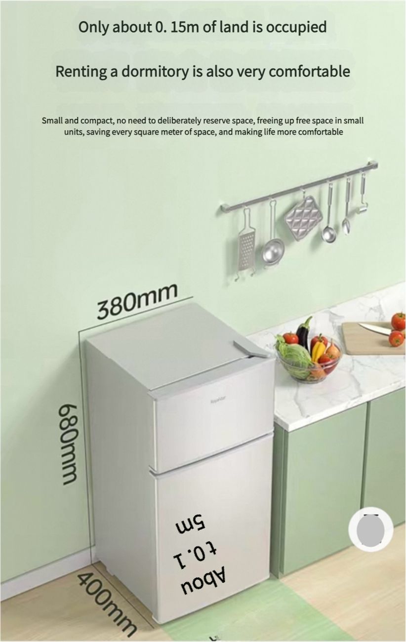 First level energy-saving Rongshida small refrigerator, household small rental room, dormitory, single person office, mini double door refrigerator