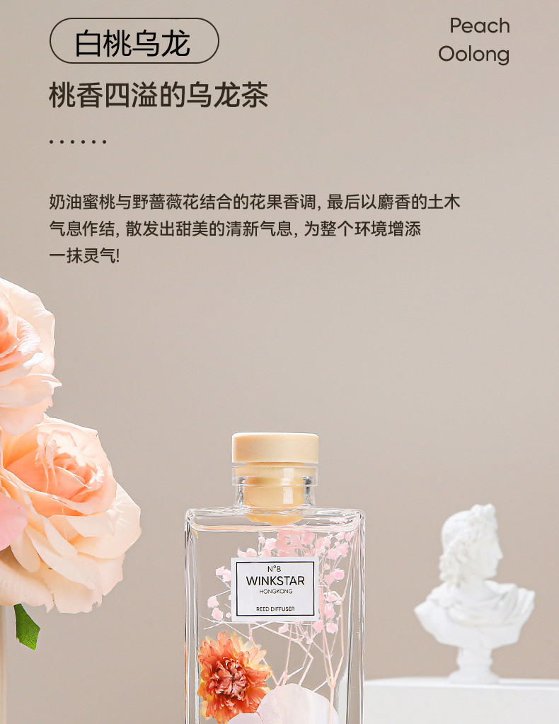 56235 150ML Empty Aromatherapy Bottles Home Fragrance Glass Bottles without Essential Oil and Rattan Sticks for Home Decor
