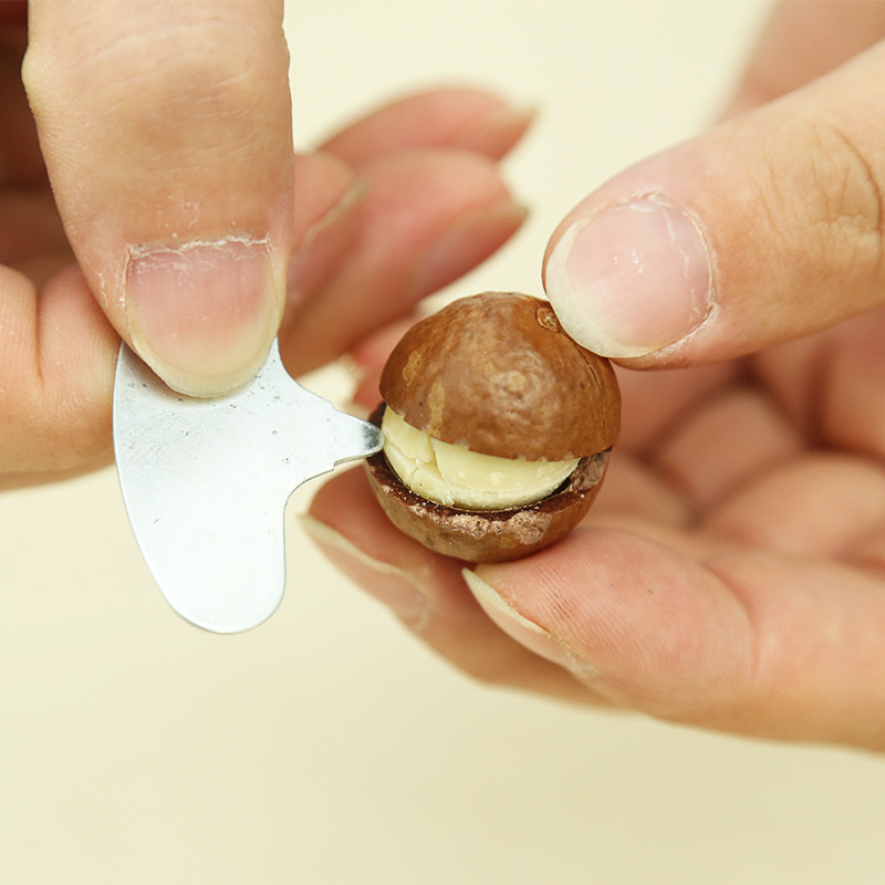 Macadamia Nut Snacks with Shell Opener 105g