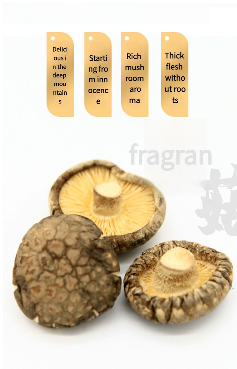 500g dried mushrooms, loose mushrooms, dried small mushrooms