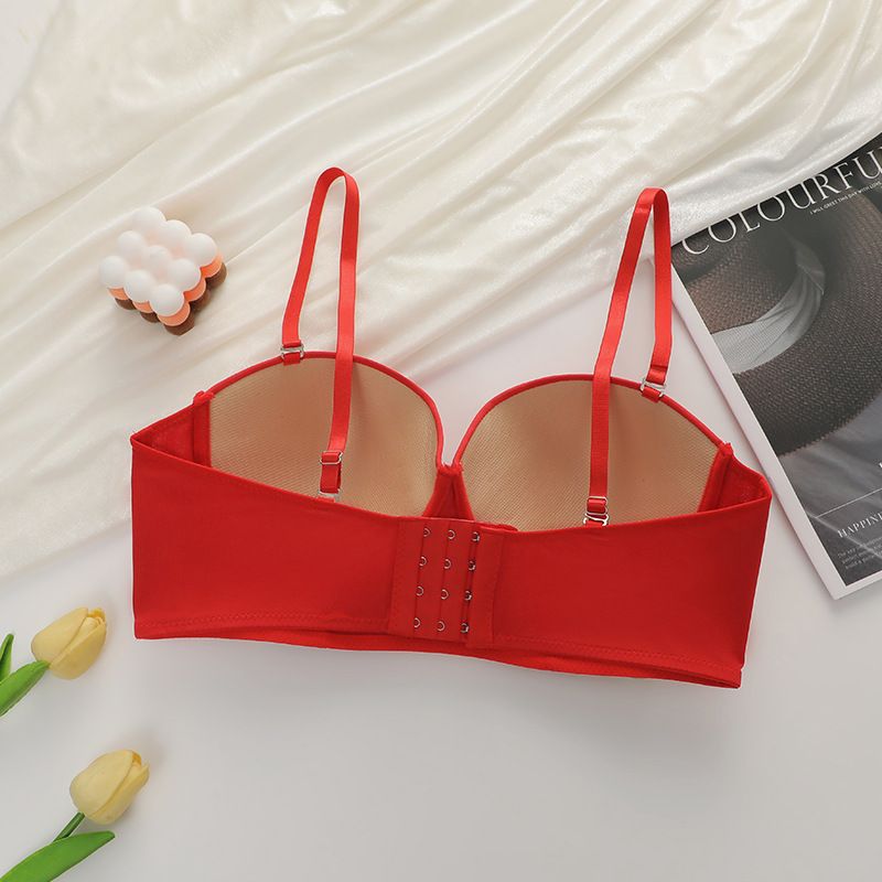Europe and the United States sexy lace push-up bra women's underwear girls bra L2538