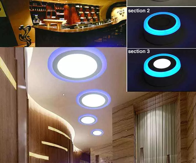 Leopard Cat LED surface mounted round RGB panel light with remote control 18W+6W 12W+4W Recessed LED Ceiling downlight Panel Lamps