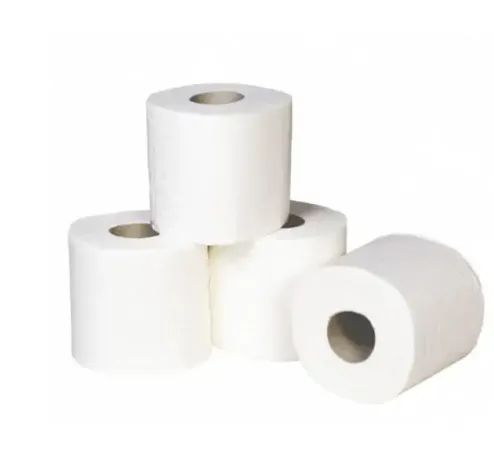 ODO Soft 10 Toilet Roll - Champion Global Ghana