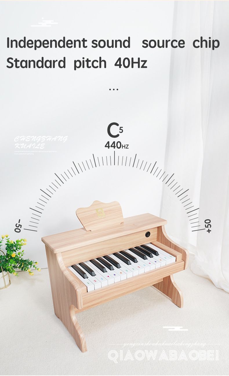 NEW 25 Key Children's beginner piano electronic piano