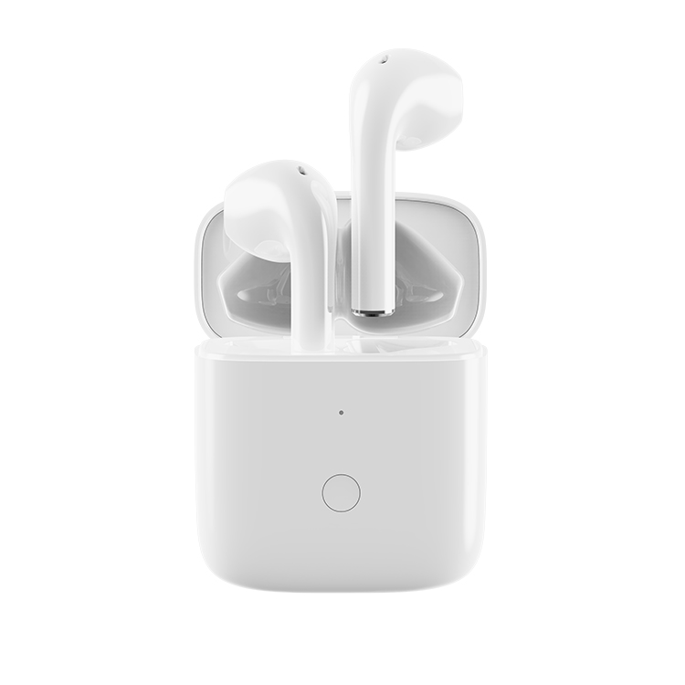 DIZO GoPods E3 Wireless Earbuds, TWS in Ear Headset with Wireless Charging Case for Sports/Music