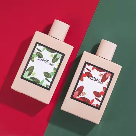 100ml Perfumes Original Brand Lady Perfumes for Women Long Lasting Smell Original Perfumes for Women