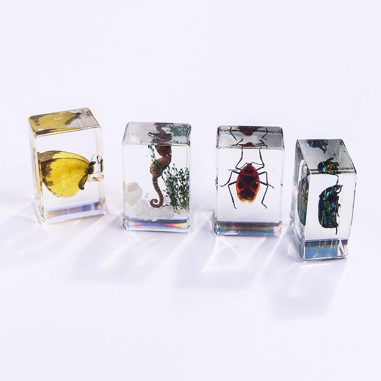 AUNONT Square Resin Insect Bookends Student Teaching Aids Taxidermy Amber Crafts Ornaments Handmade Drip Resin Insect Bookends Clear Amber Insect Taxidermy