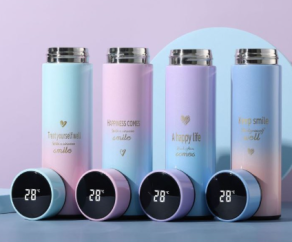 500ml Smart Water Bottle Intelligent Stainless Steel Thermos LED Temperature Display Bottles Vacuum Flasks Thermoses Cup 24hr