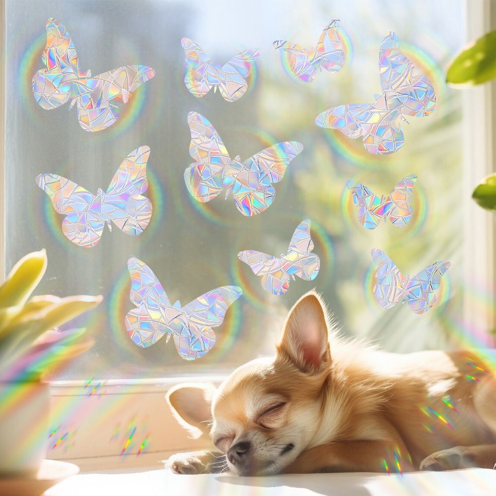 XC2364 Rainbow Suncatcher Window Stickers PVC Cat Butterfly Prism Glass Wall Sticker Home Kids Bedroom Decoration Self Adhesive Decal