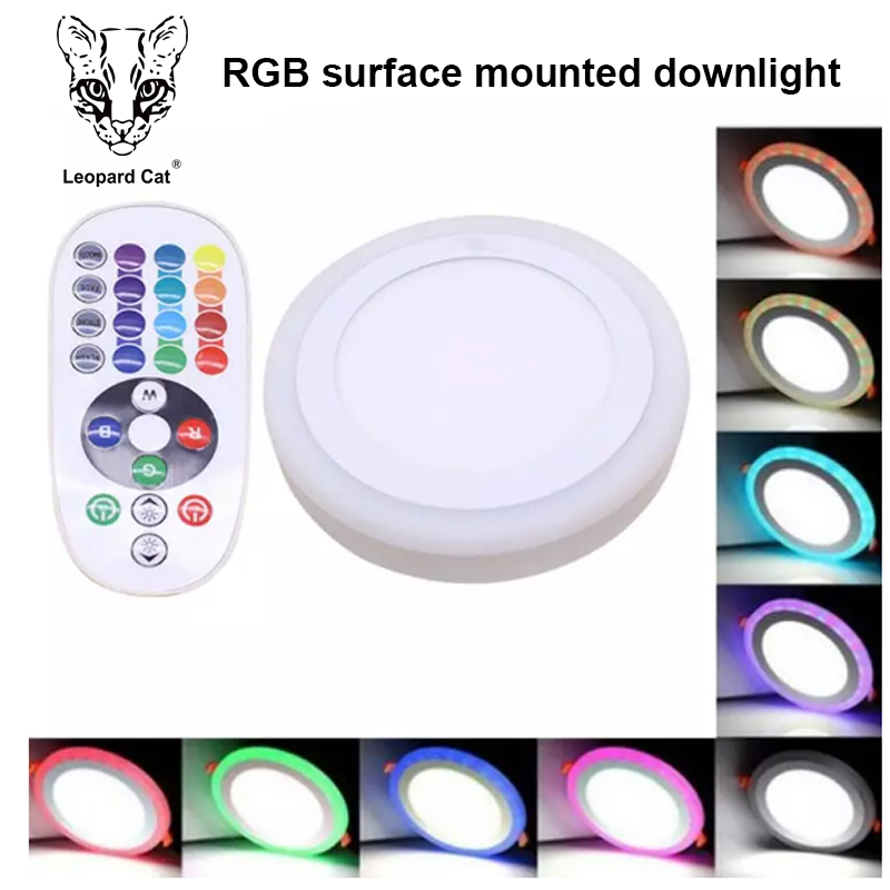 Leopard Cat LED surface mounted round RGB panel light with remote control 18W+6W 12W+4W Recessed LED Ceiling downlight Panel Lamps