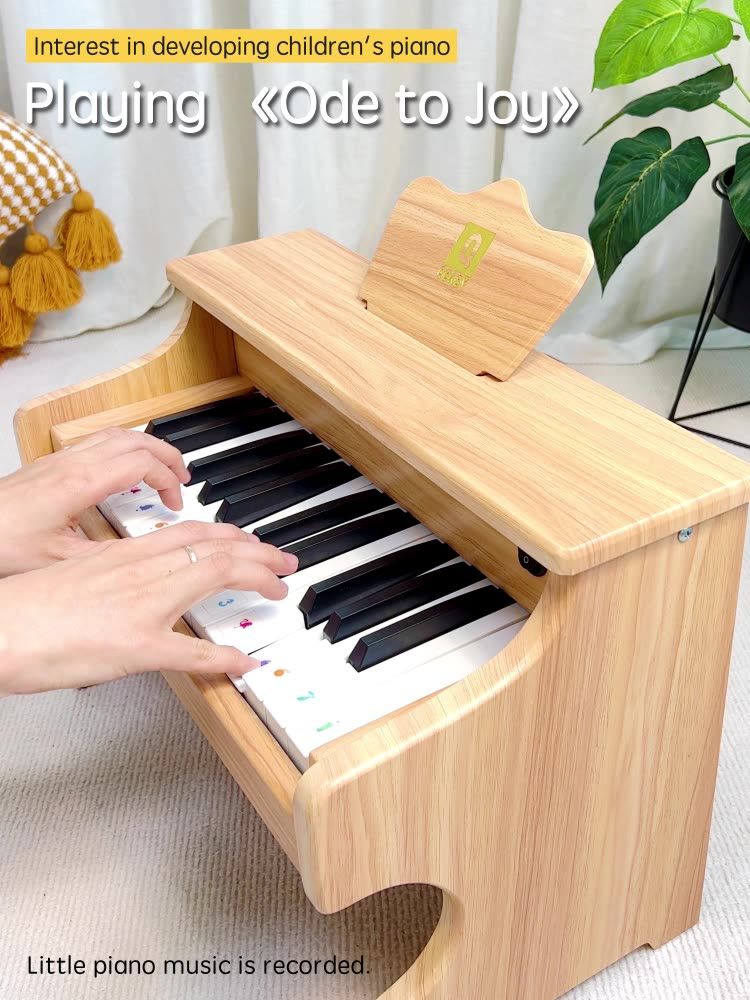 NEW 25 Key Children's beginner piano electronic piano
