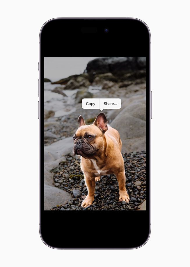Apple iPhone 14 Pro Max (Unlocked, 128GB) – 6.7” Super Retina XDR Display, A16 Bionic Chip, Pro Camera System