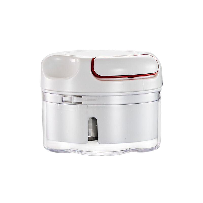 Upgrade Manual Garlic Chopper, Kitchen Chopper Masher Hand Food Processor Mini Garlic Press for Garlic Vegetables Fruits Baby Food Onion Cutter
