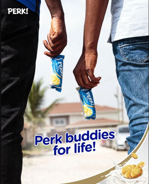 1 pack 12pcs Perk biscuit 55g
