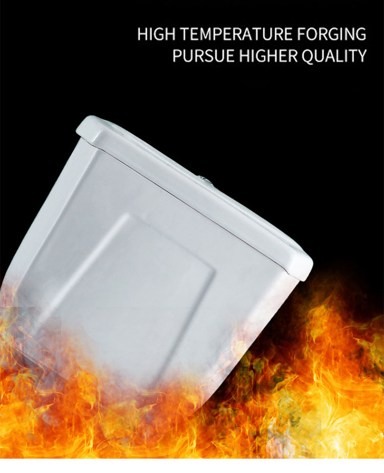 No. 650 Dual Flush Two-Piece Elongated Toilet with Comfort Seat Height, Soft Close Seat Cover, High-Efficiency Supply, and White Finish Toilet Bowl