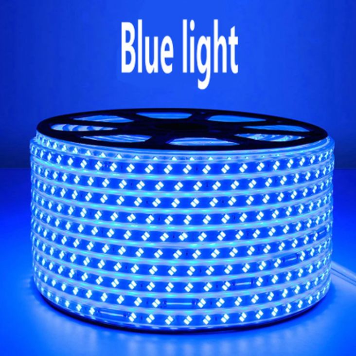 Leopard Cat 50M/Roll 220V 2835SMD 72LEDs/50M Background Lighting LED Strip Tape IP 65 Outdoor LED Strip; Multi-color options Warm White, White Light, Blue light