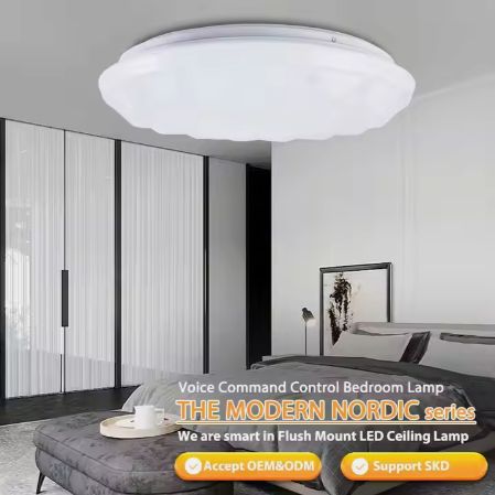 Led Ceiling Lamp Modern for Living Room Round Led Light Lamp Waterproof Led Ceiling Light Bedroom Round 50cm 45w