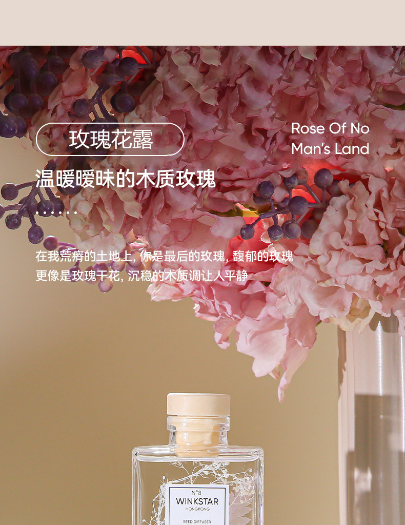 56235 150ML Empty Aromatherapy Bottles Home Fragrance Glass Bottles without Essential Oil and Rattan Sticks for Home Decor
