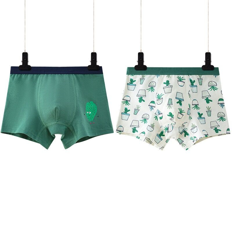 2pcs/lot Green Boy Underwear Boxer All Seasons Boy Cotton Underpanties Kids Clothes 3 4 6 8 10 12 14 Years OldCactus