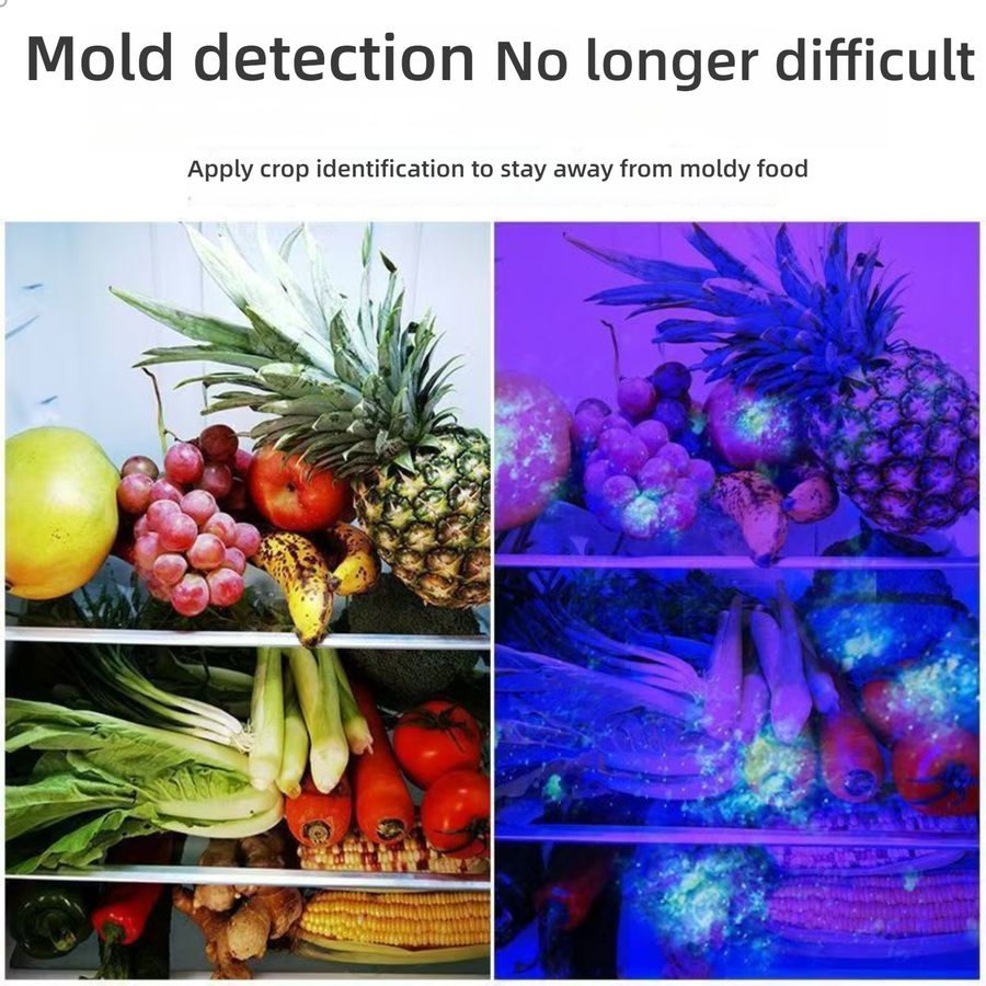  Aflatoxin Mycotoxin Fluorescent Agent Detector Pen 365nm UV Light for Food Safety